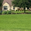 Aggieland Green - Houston gallery