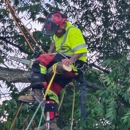Bulldogs Tree Service