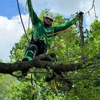Bloomscape Lawn, Landscaping, and Tree Services gallery