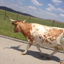 Wichita Mountains Wildlife RFG - Wildlife Refuge