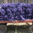 B & B Family Farm Inc - Farms