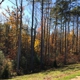 Apex Nature Park Maintenance Building