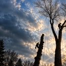 Matthews Tree Expert Company