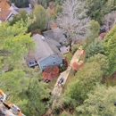 Tree Brothers Tree Service - Tree Service