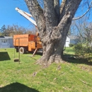 Mitchell's Tree Service