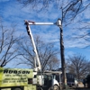 Hudson Tree Service gallery
