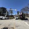 Common Ground Chattanooga Tree Service gallery