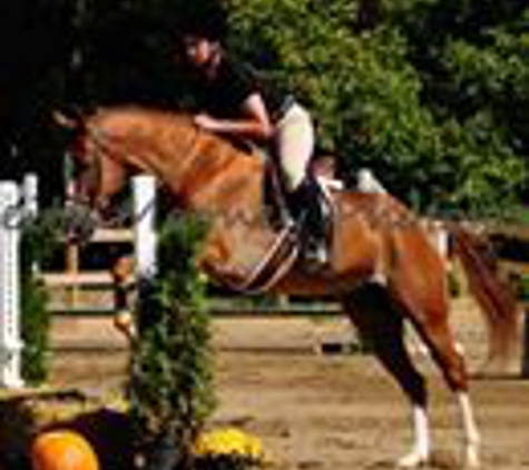 Rolling Hills Farm Equestrian Center - Friendsville, TN