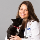 Bayview Animal Hospital - Veterinary Clinics & Hospitals