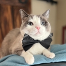 Cattails Lodge - Pet Services
