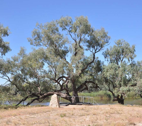 The Tree Doctor (Qld) Pty Ltd - Everton Hills, QLD