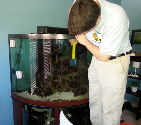 The Fish Man Aquarium Service - Columbia, SC