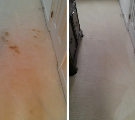 CitruSolution Carpet Cleaning - Chester, VA