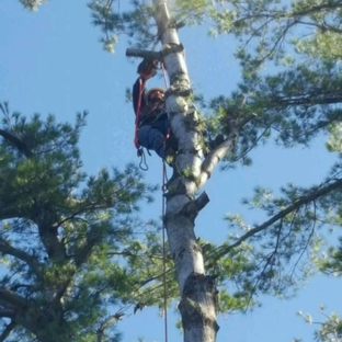 Arborcare - Harrisville, NY