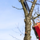 C. S. Tree Service - Tree Service