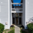 Sedgefield Square Apartments - Apartments