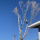 Sierra Tree Svc LLC - Tree Service