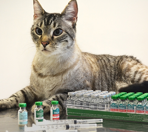 Cats Only Veterinary Hospital - Norristown, PA. We only use Purevax non-adjuvanted vaccines