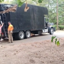 Affordable Tree Service - Tree Service