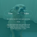 Fluffy Pet Wash Mobile Dog Grooming - Pet Services