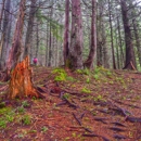 Wallace Falls State Park - State Parks