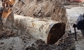 STC Environmental Services Inc - Environmental & Ecological Consultants