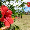 Kekaha Neighborhood Center gallery