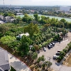 Moon Valley Nurseries gallery