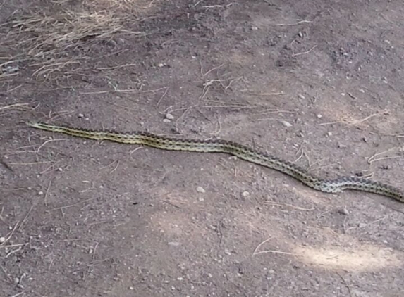 Schabarum Regional Park - Rowland Heights, CA