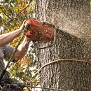 Potanovic & Sons Professional Tree Care - Arborists