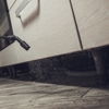 Advanced Pest Management gallery