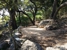 2 Macs Tree Services - Deck Builders