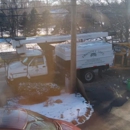 Friendly Tree Professionals - Tree Service