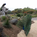 Los Angeles County Arboretum - Botanical Gardens