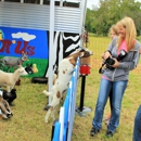 Animals *R* Us - Mobile Petting Zoo - Pet Sitting & Exercising Services