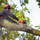 Erick's Tree Service