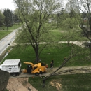 Schades Tree Service - Tree Service