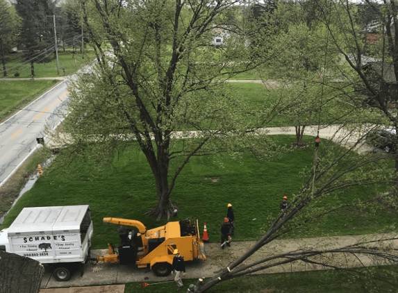 Schades Tree Service - North Royalton, OH