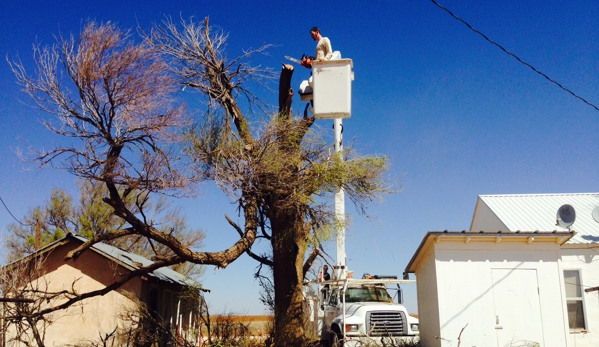 Tomcat's Tree Trimming - Wolfforth, TX