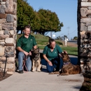 SLO Life Dog Training