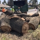 Sequoias Tree Service