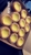 Eck Bakery - Bakeries