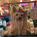 GiGi's Pet Market - Pet Services