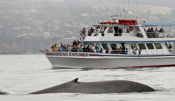 Davey's Locker Sport Fishing & Whale Watching - Newport Beach, CA