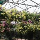 LA Nursery - Garden Centers