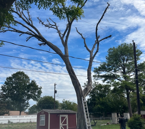 Southeast Tree - Pasadena, TX