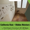 Guaranteed Property and Mold Inspection gallery