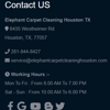 Elephant Carpet Cleaning Houston TX gallery