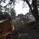 East Coast Trimmers Tree Service