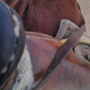 Canyon Creek Ranch - Horse Boarding